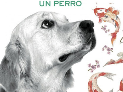 Libro Un Perro: «R estaba sentado en la alfombra, junto a la cama, exactamente como le había visto la noche de la tormen
