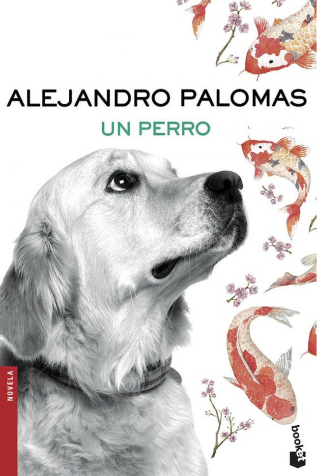 Libro Un Perro: «R estaba sentado en la alfombra, junto a la cama, exactamente como le había visto la noche de la tormen