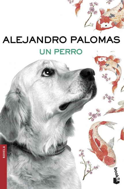 Libro Un Perro: «R estaba sentado en la alfombra, junto a la cama, exactamente como le había visto la noche de la tormen