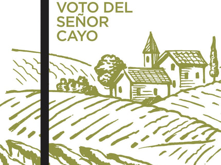 Libro El Disputado Voto Del Señor Cayo: EnáEl disputado voto del señor Cayo, Delibes aborda un tema que es una de las grandes tragedias de nuestro tiempo: el abandono del campo. A uno de los muchos pueblos prácticamente vacíos y en ruinas del norte de Castilla llega un grupo de jóvenes militantes de un partido político a hacer propaganda electoral.