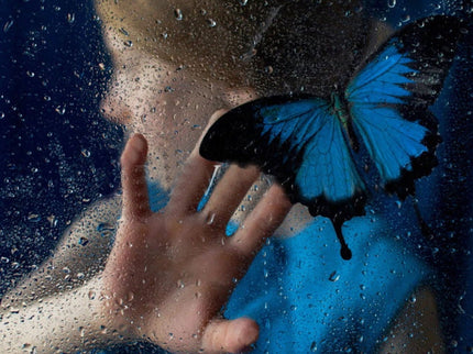 El Refugio De Las Mariposas