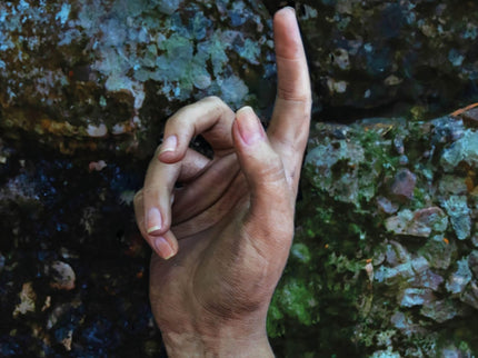 Las Que No Duermen Nash