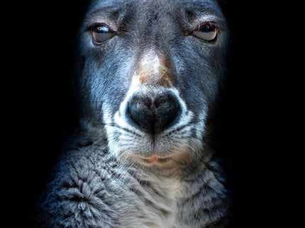 El Día De Mi Muerte