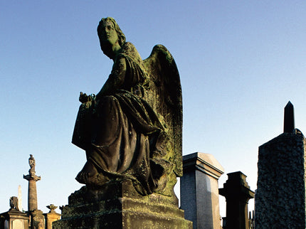 Libro El Cementerio De Los Ingleses: Nadie lleva flores al Cementerio de los Ingleses, en la ladera del monte Urgull, en