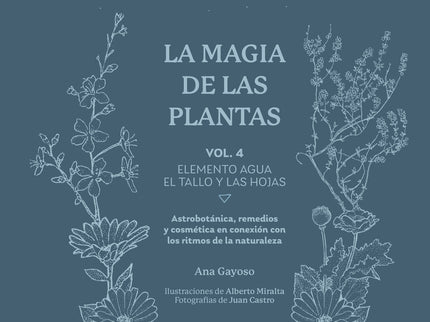 La Magia De Las Plantas