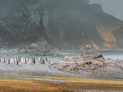 Fotografía De Viaje Y Paisaje