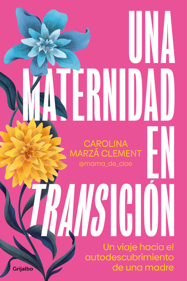 Una Maternidad En Transición