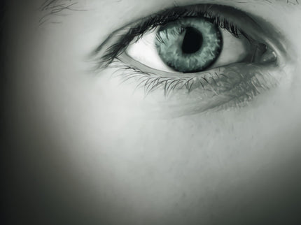 Libro Grey: Descubre el mundo de Cincuenta sombras de Grey a través de los ojos de Christian Grey. E. L. James nos ofrec