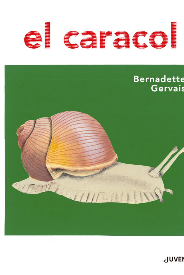 Libro El Caracol: Este pequeño álbum informativo es el cuarto título de la serie diseñada por Bernadette Gervais. La autora propone observar la naturaleza centrándose en un solo elemento con el que el pequeño lector pueda familiarizarse.
