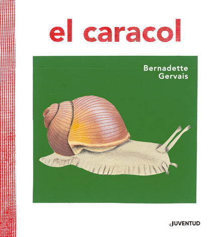 Libro El Caracol: Este pequeño álbum informativo es el cuarto título de la serie diseñada por Bernadette Gervais. La autora propone observar la naturaleza centrándose en un solo elemento con el que el pequeño lector pueda familiarizarse.