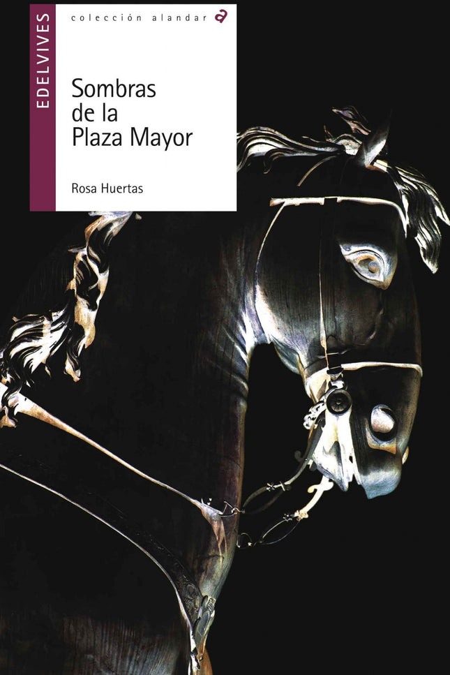 Libro Sombras De La Plaza Mayor: Gonzalo, un joven de 17 años, le gusta escribir y acude con frecuencia a la plaza Mayor