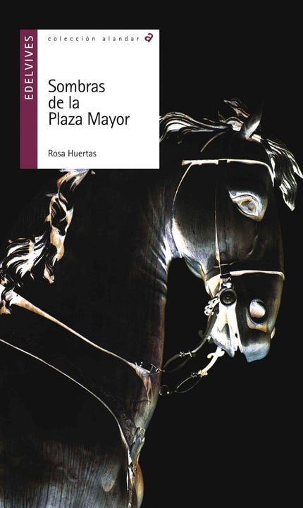 Libro Sombras De La Plaza Mayor: Gonzalo, un joven de 17 años, le gusta escribir y acude con frecuencia a la plaza Mayor