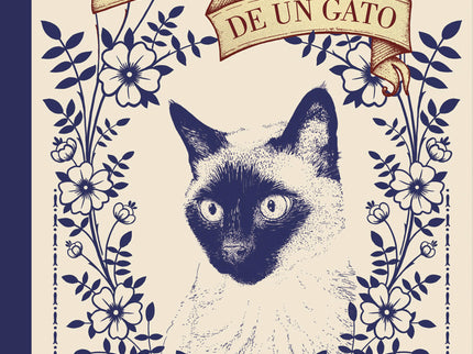 Historia De Un Gato