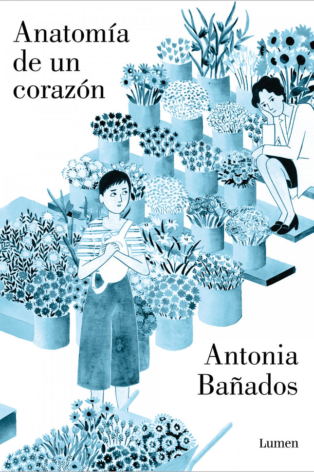 Anatomía De Un Corazón