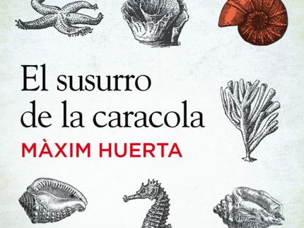Libro El Susurro De La Caracola: Angeles Alarcón, una mujer que se gana la vida haciendo pequeños arreglos y remiendos e