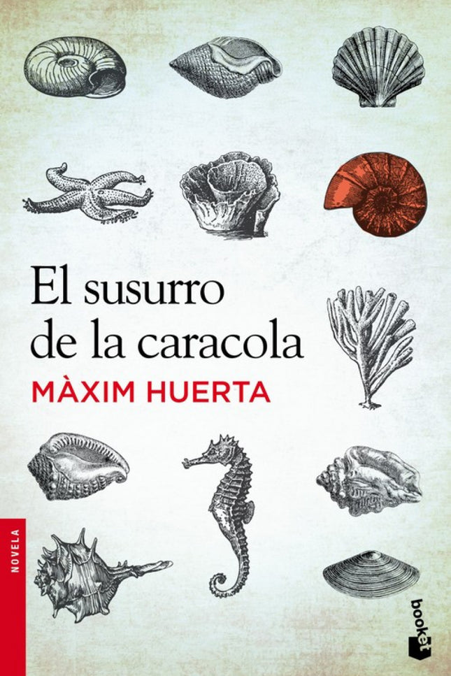 Libro El Susurro De La Caracola: Angeles Alarcón, una mujer que se gana la vida haciendo pequeños arreglos y remiendos e