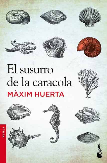 Libro El Susurro De La Caracola: Angeles Alarcón, una mujer que se gana la vida haciendo pequeños arreglos y remiendos e