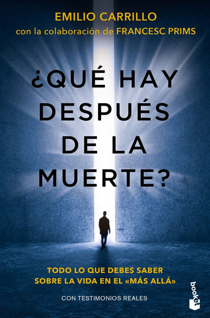 ¿qué Hay Después De La Muerte?
