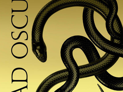 Libro Edad Oscura (oro Y Ceniza 2): HÉROE, TRAIDOR, VILLANO.Hace diez años, Darrow encabezó una revolución que creó un nuevo mundo. Hoy disputa una guerra sin cuartel en Mercurio con la esperanza de salvarlo de la destrucción.