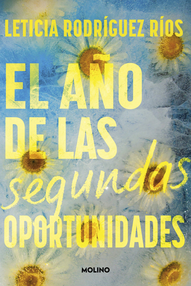 El Año De Las Segundas Oportunidades