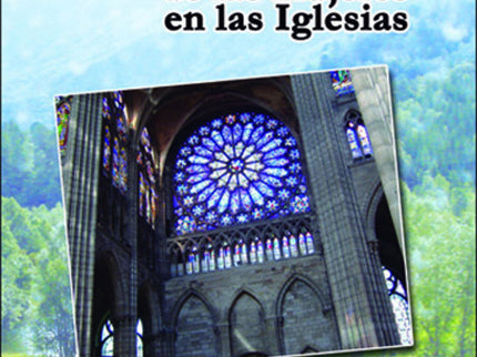 Libro Mision Y Lugar De Las Mujeres: ¿Es posible que las Iglesias cristianas sean misóginas o, al menos, patriarcales y 