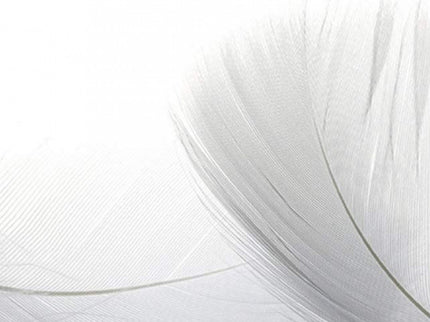 Al Final Del Silencio