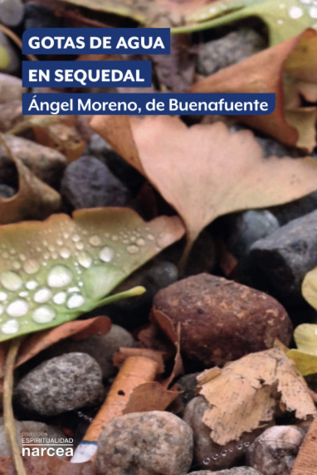 Gotas De Agua En Sequedal