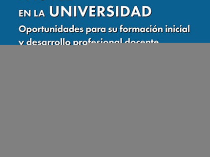El Profesorado Novel En La Universidad