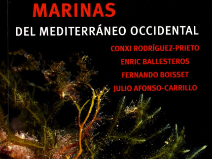 Libro Guía De Las Macroalgas Y Fanerógamas Marinas Del Mediterraneo Occidental: La vida marina del Mediterráneo occident