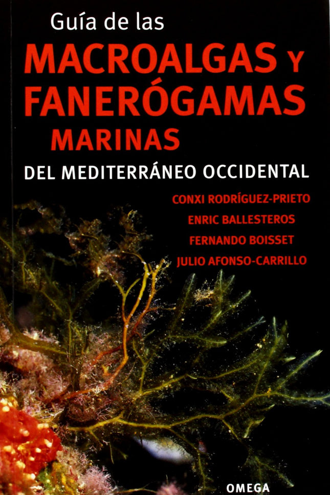 Libro Guía De Las Macroalgas Y Fanerógamas Marinas Del Mediterraneo Occidental: La vida marina del Mediterráneo occident