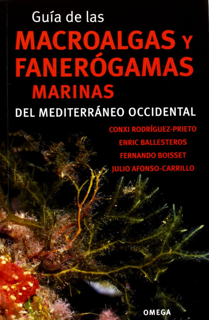 Libro Guía De Las Macroalgas Y Fanerógamas Marinas Del Mediterraneo Occidental: La vida marina del Mediterráneo occident
