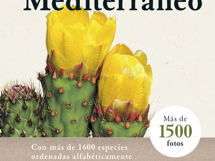 Flora Del Mediterraneo