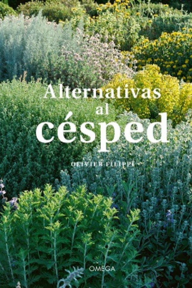 Alternativas Al Cesped