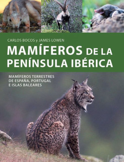 Collection image for: Zoología: mamíferos