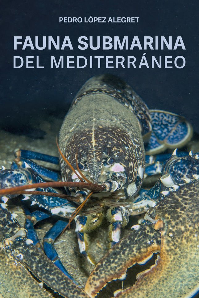 Fauna Submarina Del Mediterráneo