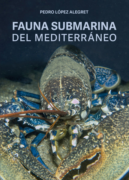 Fauna Submarina Del Mediterráneo