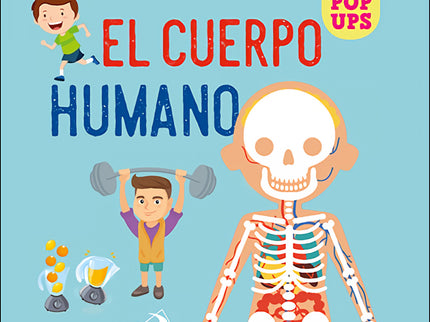 Cuerpo Humano