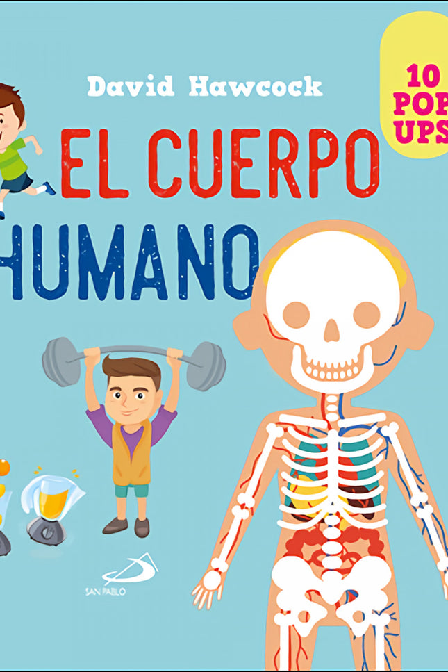Cuerpo Humano
