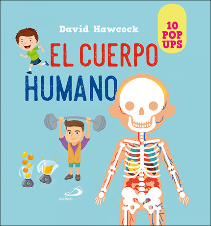 Cuerpo Humano