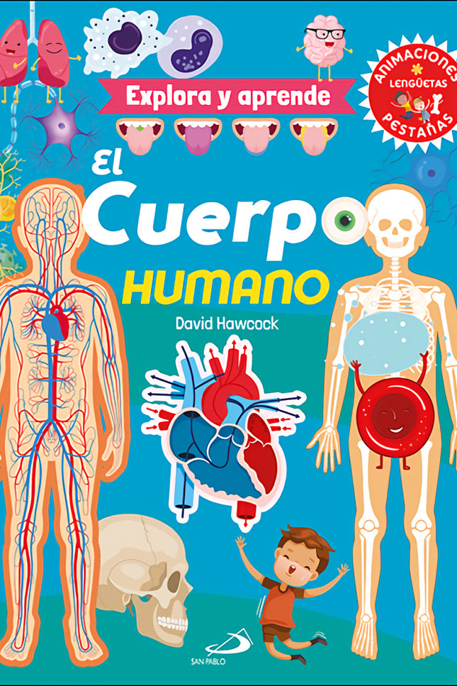 El Cuerpo Humano
