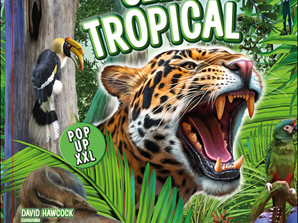 Selva Tropical Pop Up Xxl