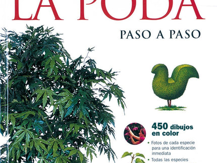 Libro El Abc De La Poda Paso A Paso: Todos los árboles y arbustos exigen una poda regular: así crecen más fuertes, flore