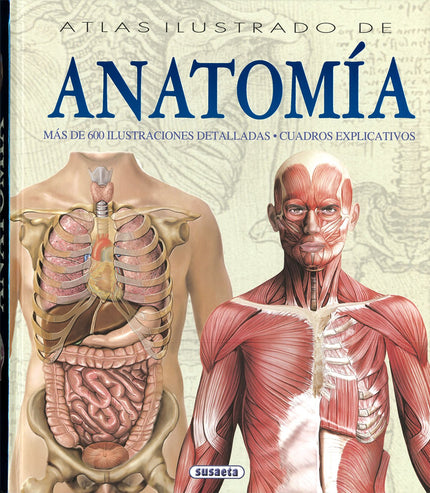 Libro Atlas Ilustrado De Anatomía: Un viaje fascinante al mundo desconocido y secreto del cuerpo humano, a través de pág