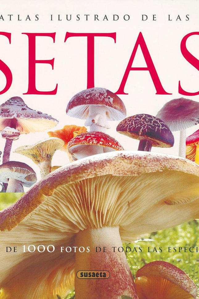 Atlas Ilustrado De Las Setas