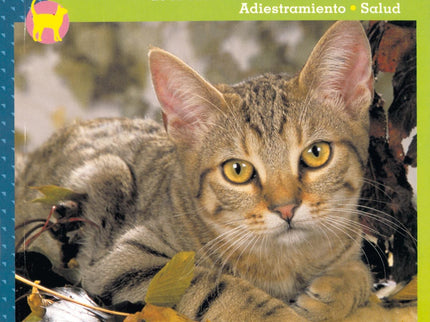 Libro Gato Europeo: .