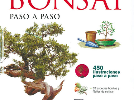 Libro El Abc Del Bonsái Paso A Paso (abc De La Jardinería): Transforme su árbol en un bonsái o consiga que su ejemplar s