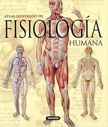 Libro Atlas Ilustrado De La Fisiología Humana: Este atlas aborda en profundidad el estudio de la fisiología humana, cien