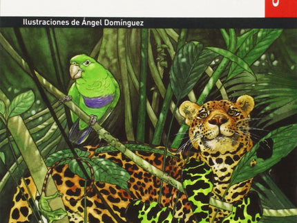 Anaconda Y Otros Cuentos De La Selva. Material