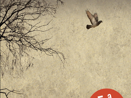 Libro Del Resentimiento Al Perdón: Desde un fino análisis psicológico, analiza el perdón como la raíz de todos los remedios para superar el resentimiento y contribuir a la propia felicidad.