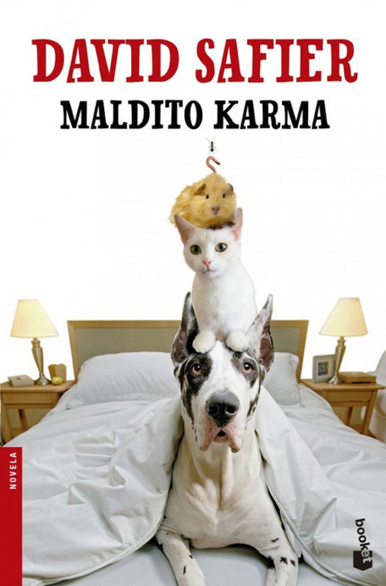Libro Maldito Karma: La presentadora de televisión Kim Lange está en el mejor momento de su carrera cuando sufre un acci